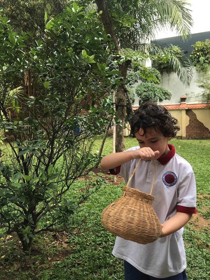 vuon cay cua be - steps special school